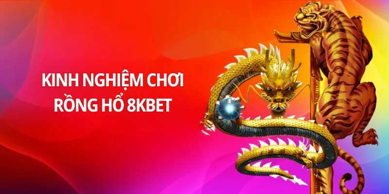 Chia sẻ kiến thức đầu tư Rồng Hổ 8KBET