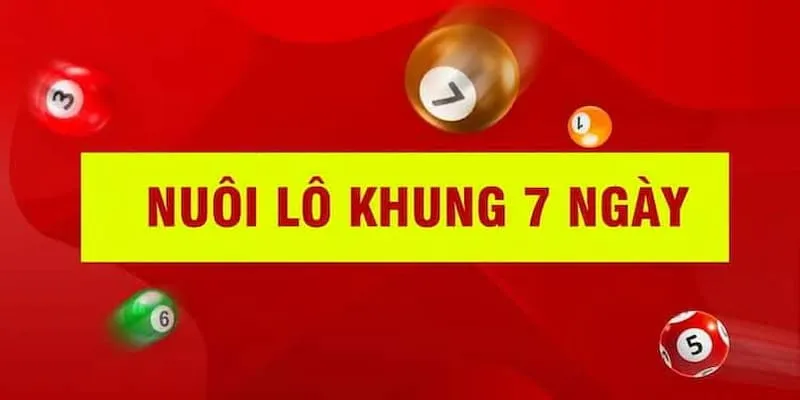 Tham khảo cách nuôi khung 7 ngày bất bại  